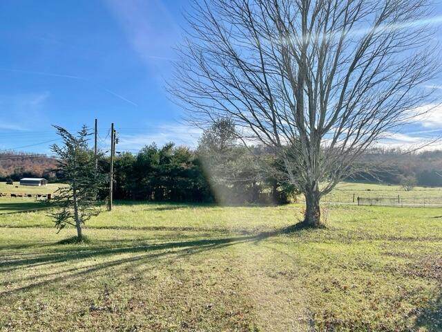 127 Bonnie Blue Lane - Photo 1
