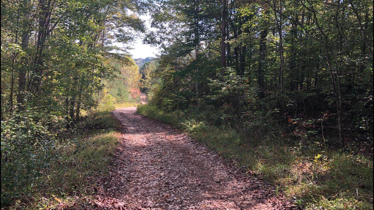 1111 Big Springs Road Tract #5 - Photo 1