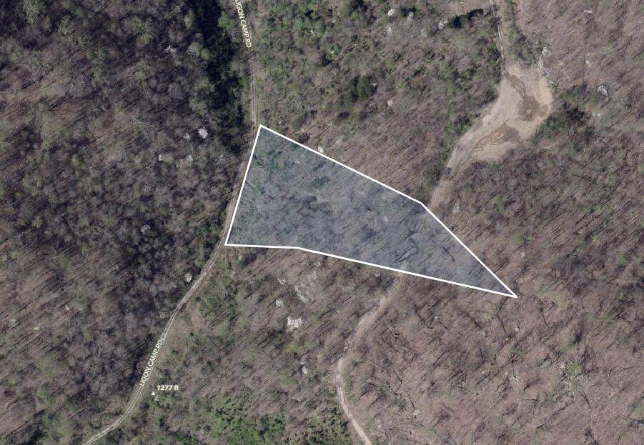 0 Clear Creek Hollow - Photo 1