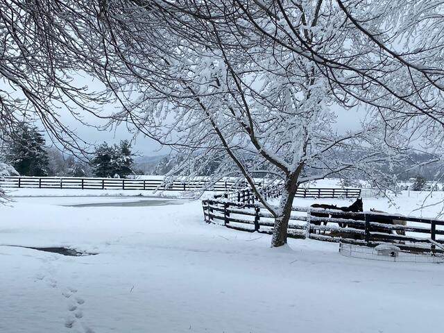 575 Smith Brewer Road - Photo 1