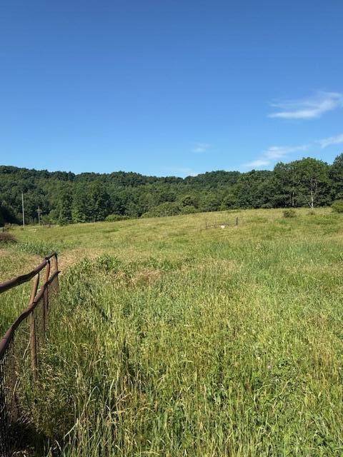 Tract 3 Deer Valley Road - Photo 1