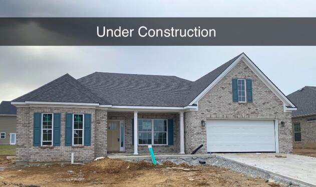 248 Mallory Meadow Way - Photo 1