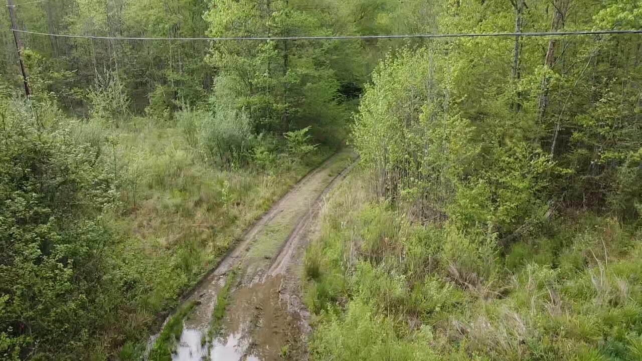 9999 Stinking Creek/Mill Creek Road - Photo 1