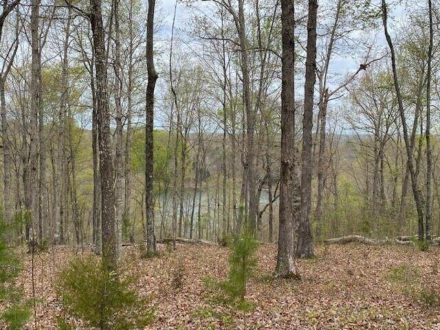 Lot 21 Cumberland Shores - Photo 1