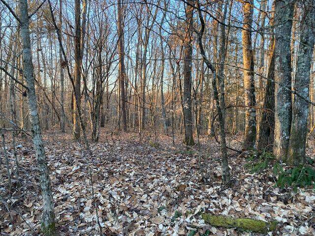 113 Kidd Road - Photo 1