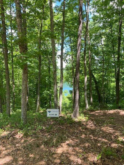 Lot 20 North Shore Rd - Photo 1
