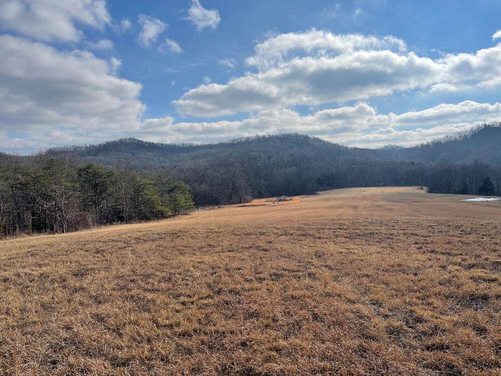 3464 Harmons Lick Road - Photo 1