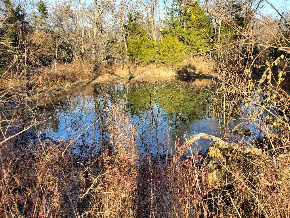 4379 Long Lick Pike - Photo 1