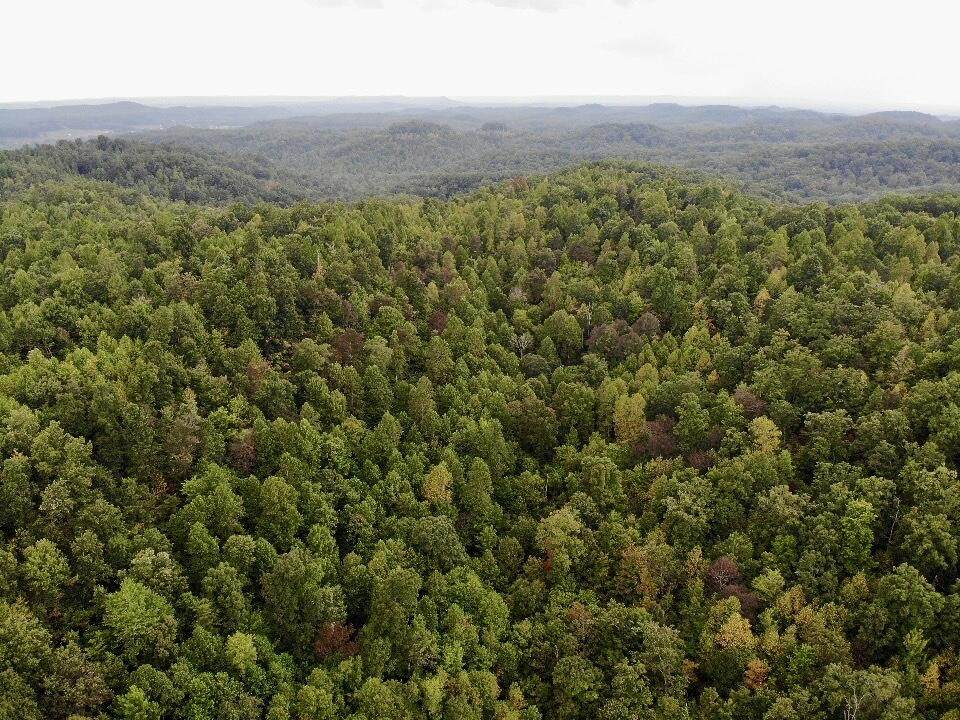 3680 Copper Creek Road - Photo 1