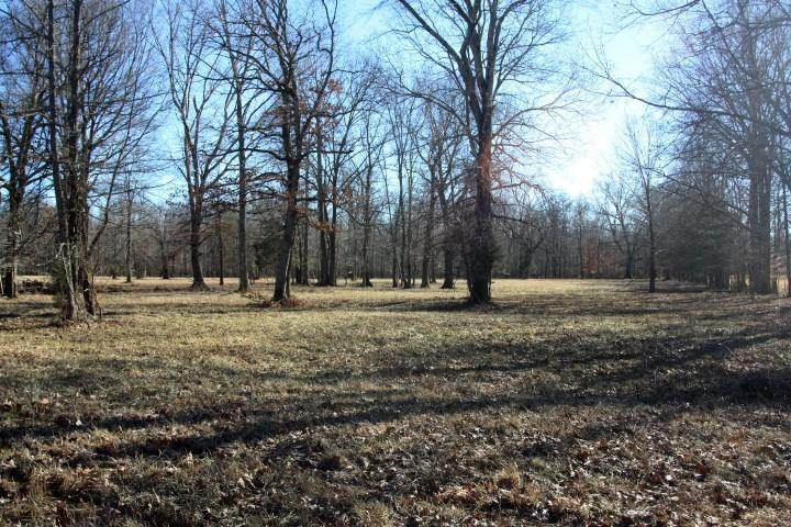 0-0 Kentucky Highway 82 Forge Mill - Photo 1