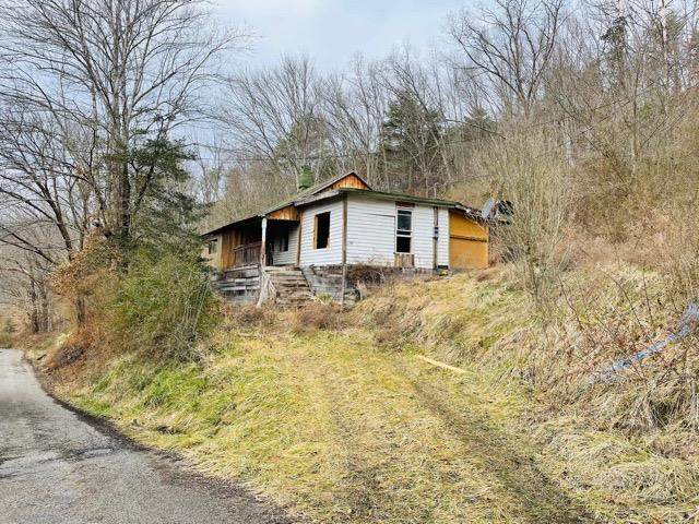 209 Cedar Loop - Photo 1