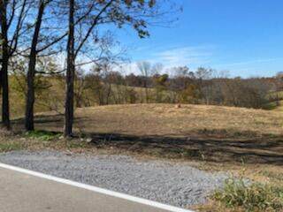 22007 Upper Lick Road - Photo 1
