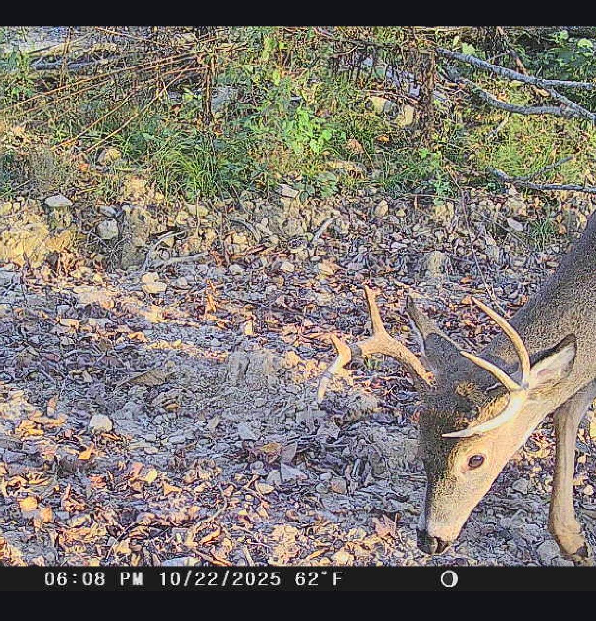 1820 Sulphur Springs Hollow Road - Photo 1