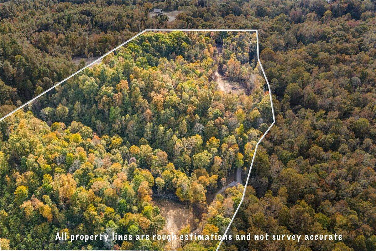 00 Hopper Creek Road - Photo 1