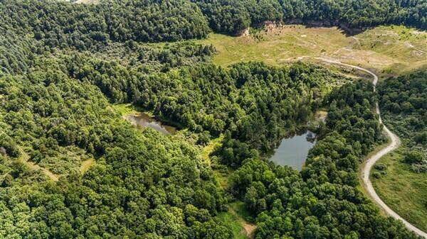 9999 Terrell Hollow Road - Photo 1