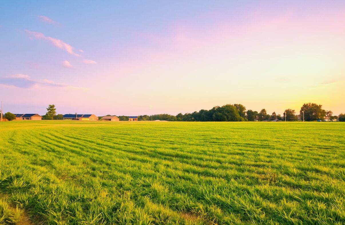 101 Carlton Crossing - Photo 1