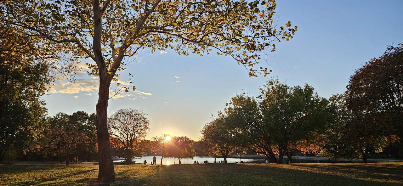 8800 Boulevard - Photo 1