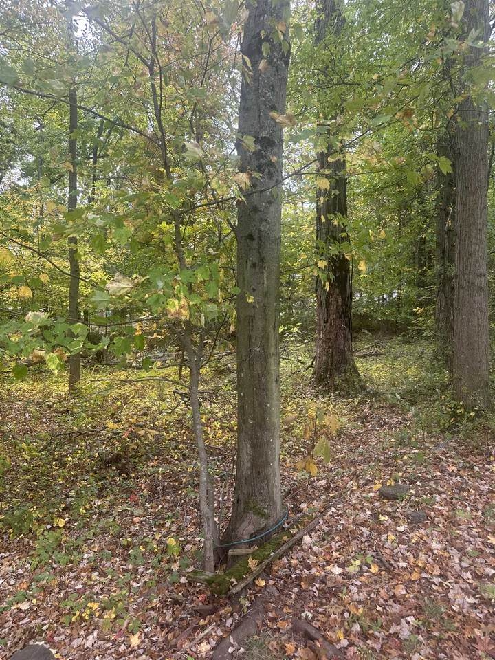 136 Black Horse Lane - Photo 1