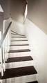 6013 Buchanan Pl - Photo 12