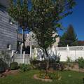 561 Avenue E - Photo 30
