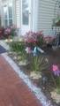47 Cherry St - Photo 16