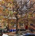 126 Madison St - Photo 14