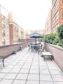 1331 Grand St - Photo 10