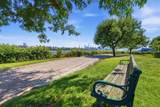 242 The Promenade - Photo 33