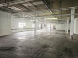 5620 Kennedy Blvd - Photo 4