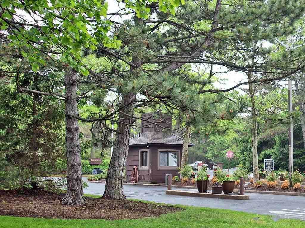 441 Dunlin Plaza - Photo 1