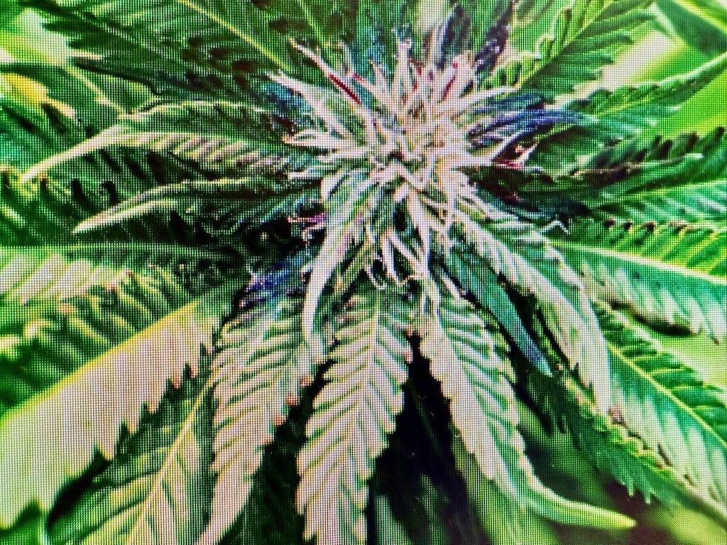 75 Martin Luther King Jr Dr - Photo 1