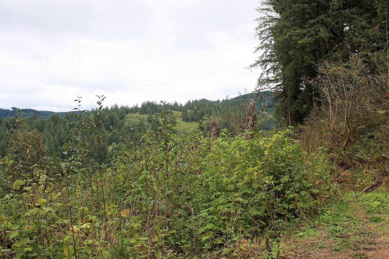 TL 702 Highway 20 - Photo 1