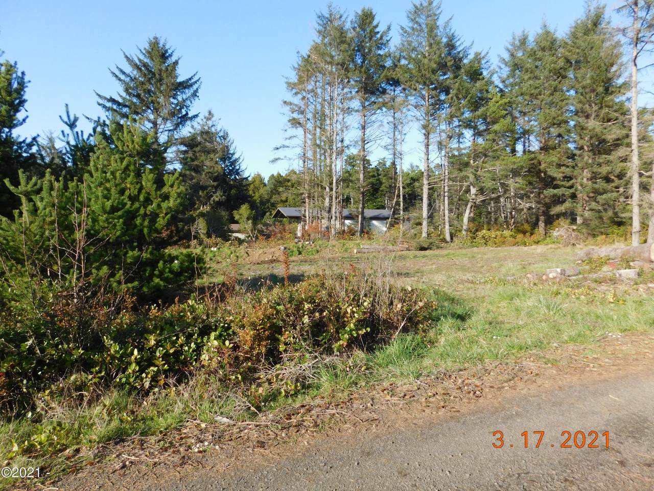 Lot 3 Shorepine Crest St. - Photo 1