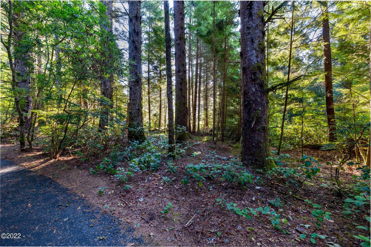 Lot 117 Forest Park - Photo 1
