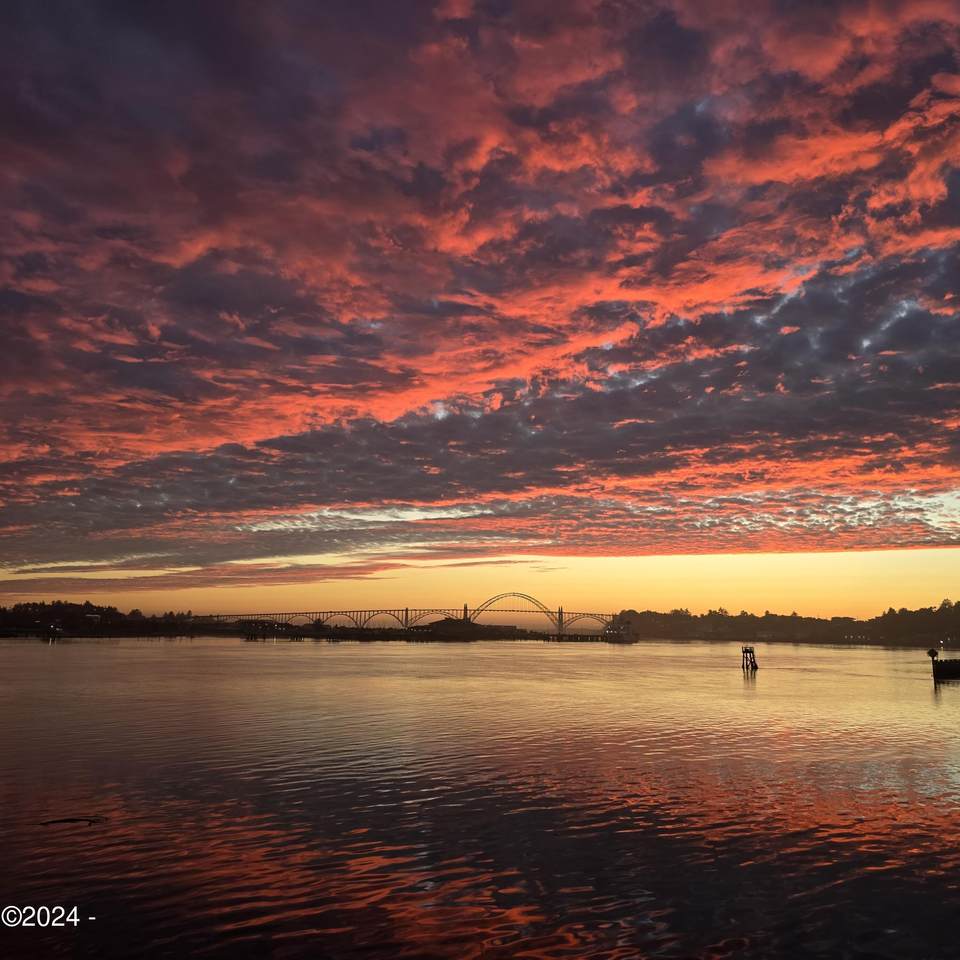 1000 Bay Boulevard - Photo 1