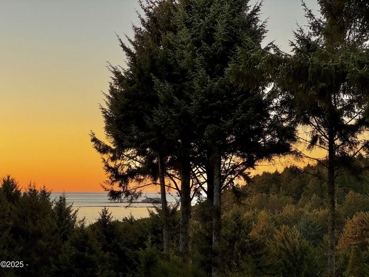 12282 Coos Street - Photo 1