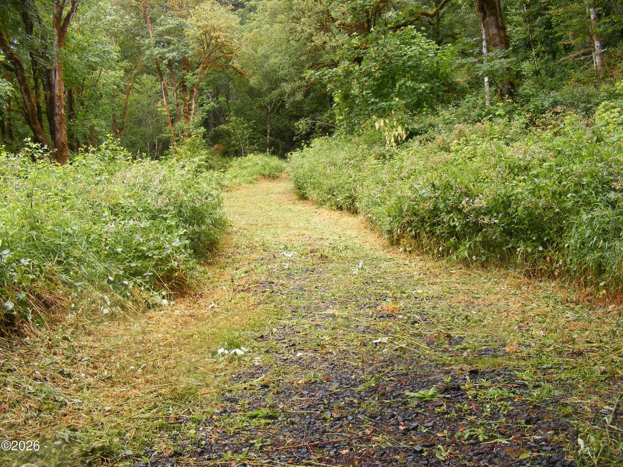 TL20123255 Alsea Highway - Photo 1