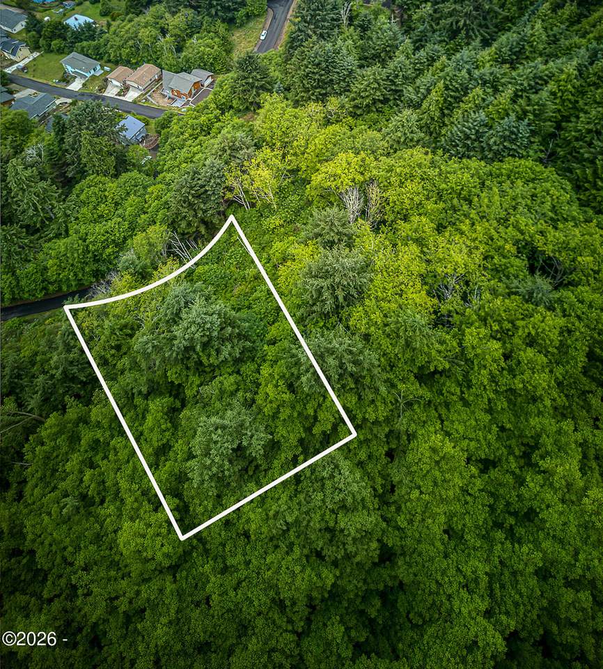 TL 4200 Elk Mountain Road - Photo 1