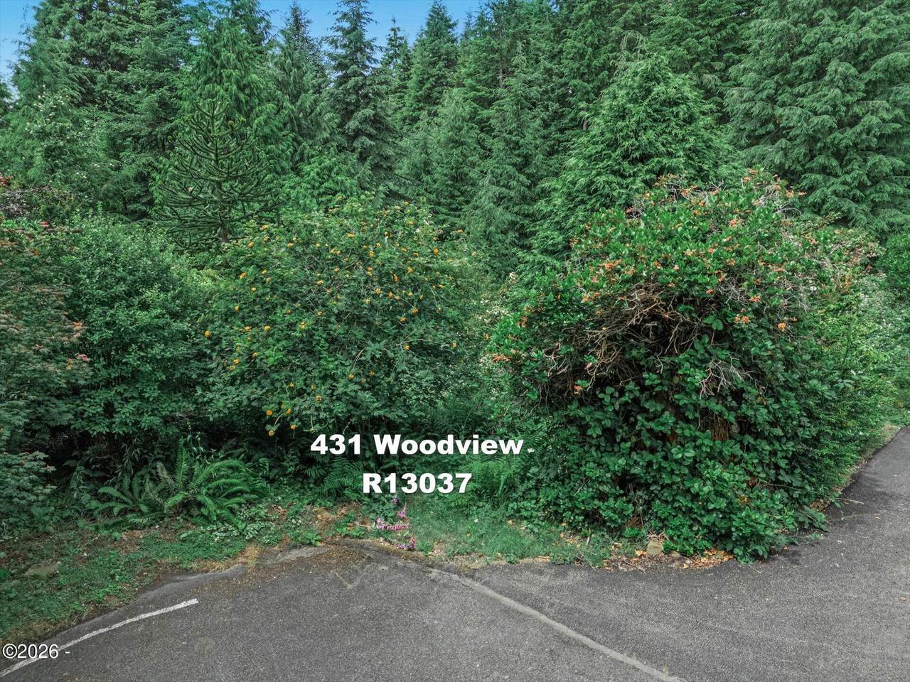 431 Woodview Lane - Photo 1