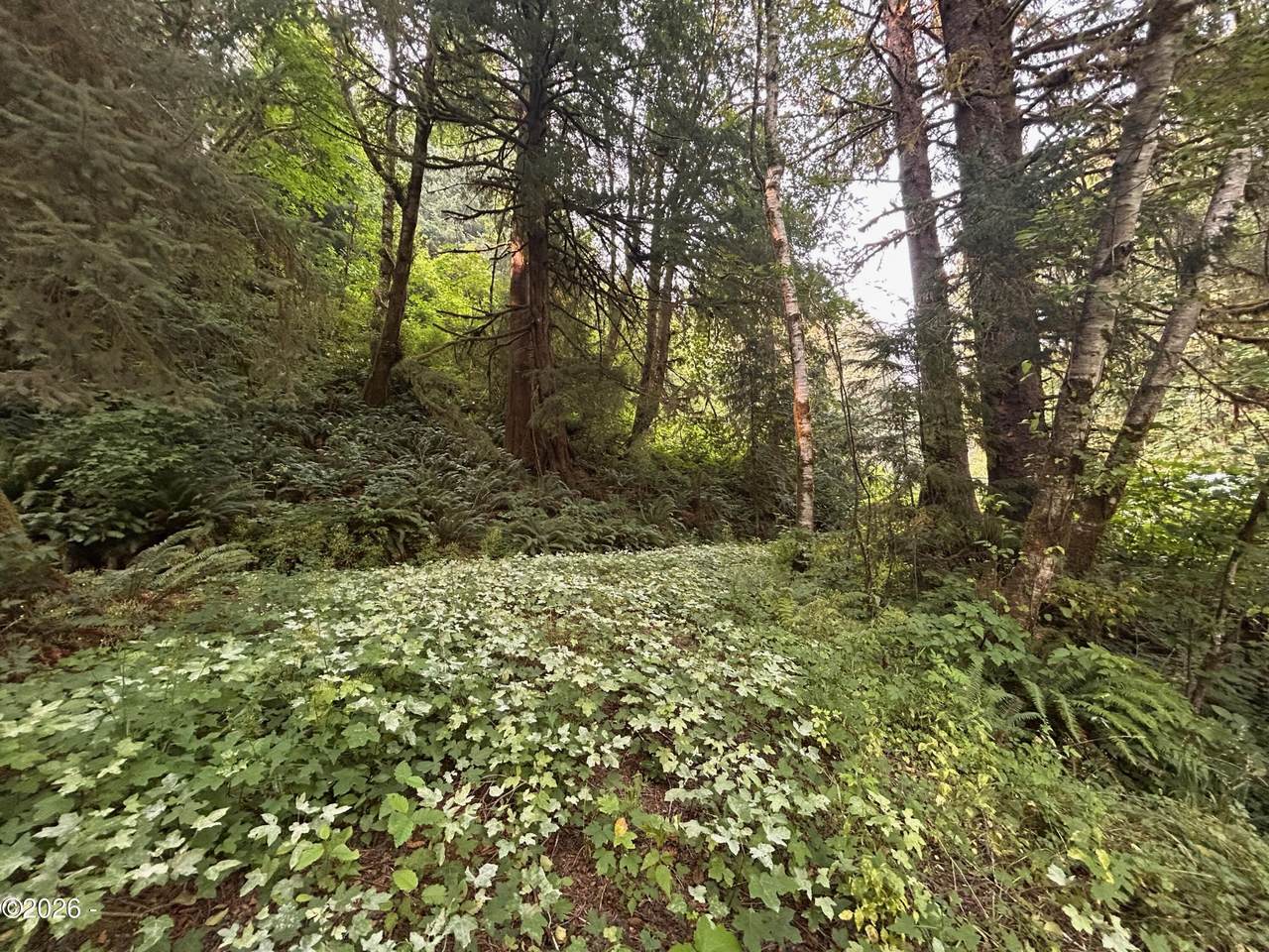https://bt-photos.global.ssl.fastly.net/lincolnco/1280_boomver_1_26-2213-2.jpg