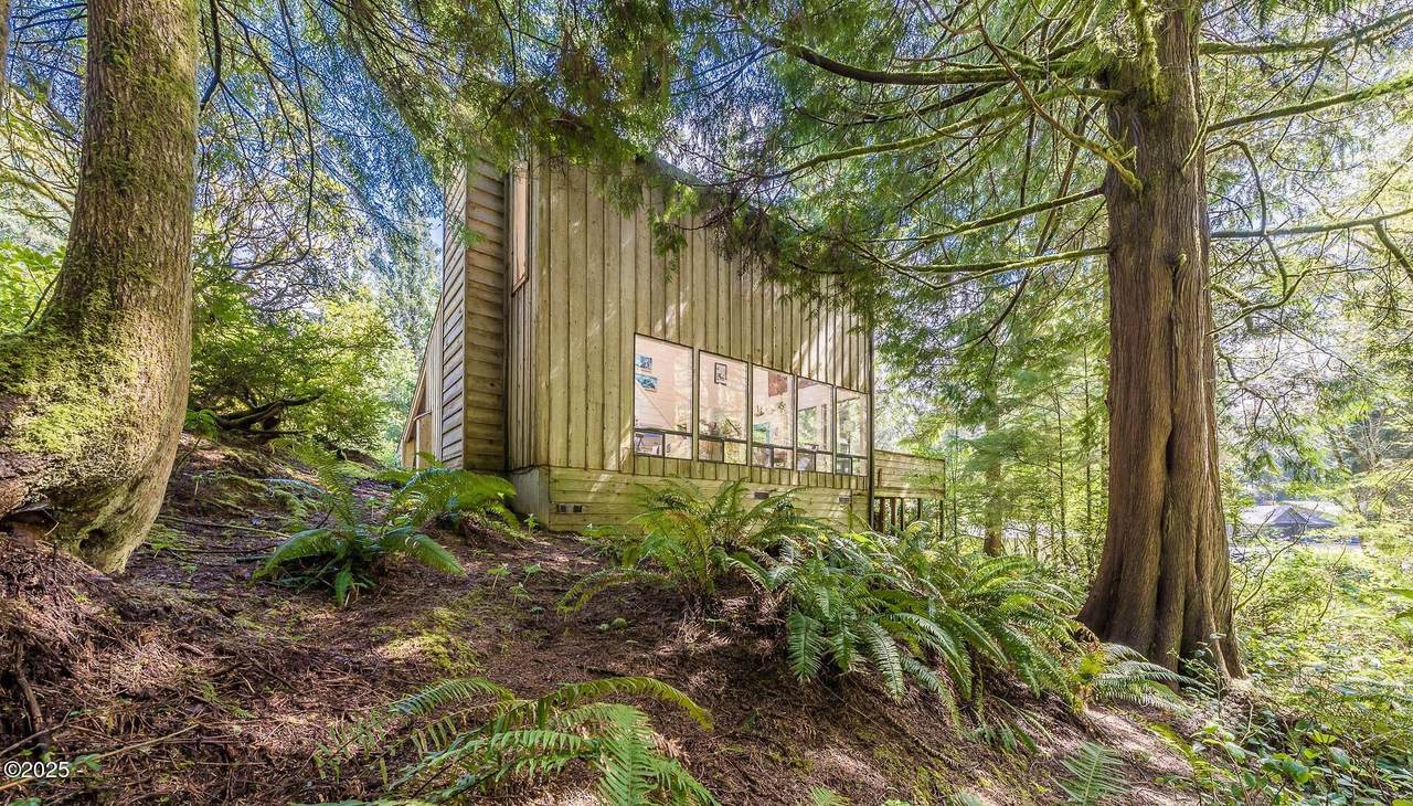 6 Woodthrush Ln - Photo 1