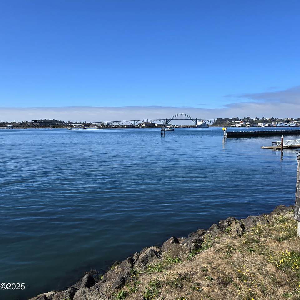 1000 Se Bay Blvd - Photo 1