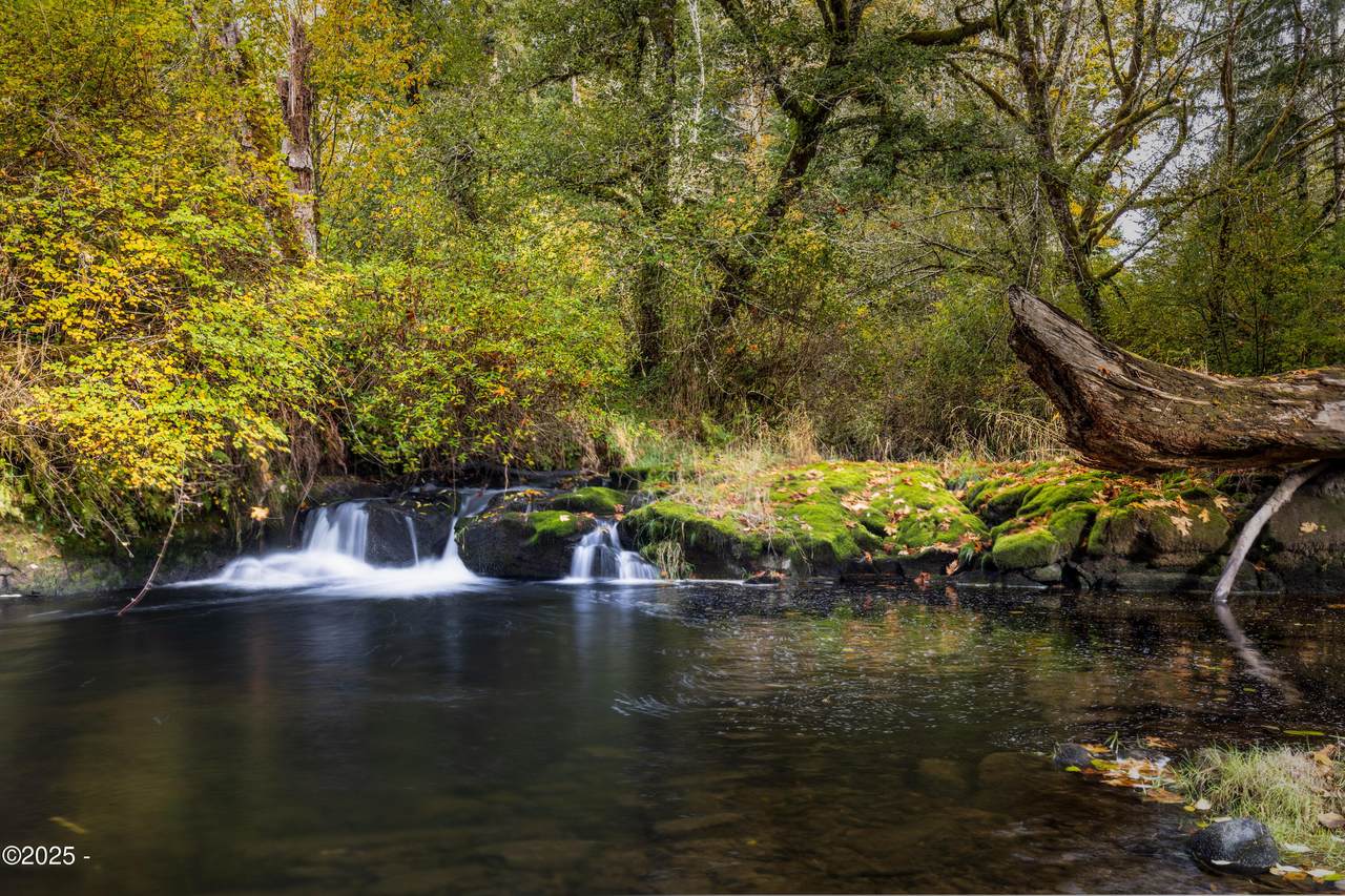 563 Moonshine Park Road - Photo 1