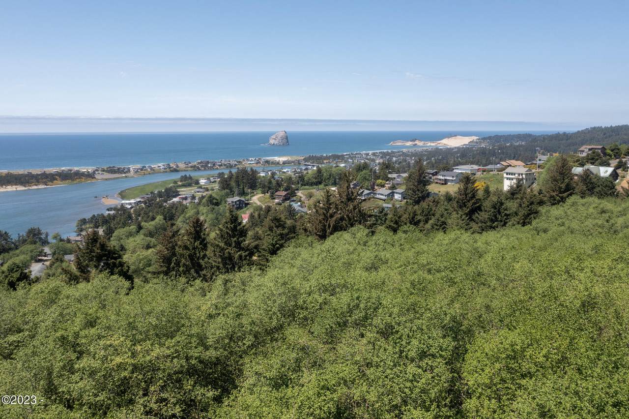 200 acres Resort Dr - Photo 1