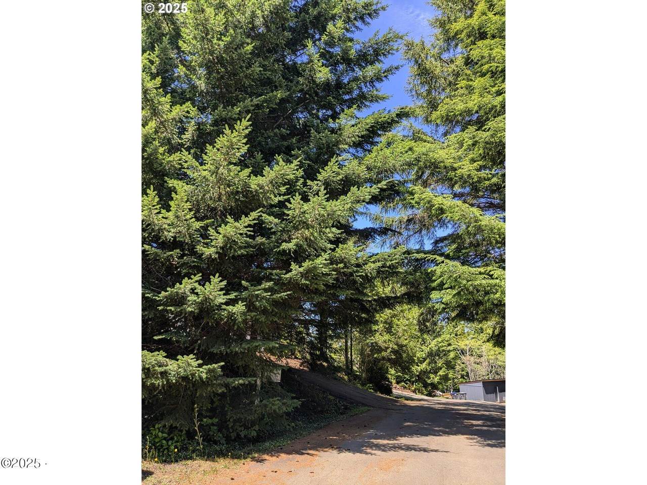 0 Rebel Road - Photo 1