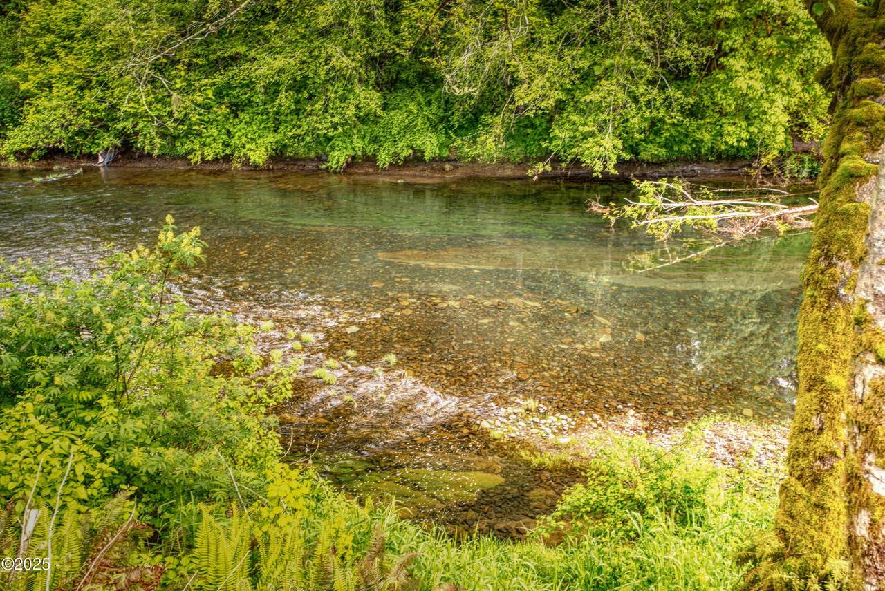 22027 Siletz Hwy Highway - Photo 1