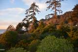 301 Otter Crest Drive - Photo 27