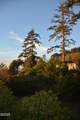 301 Otter Crest Drive - Photo 3