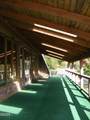 1022 Olalla Road - Photo 4
