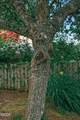 1590 Fairway Drive - Photo 6